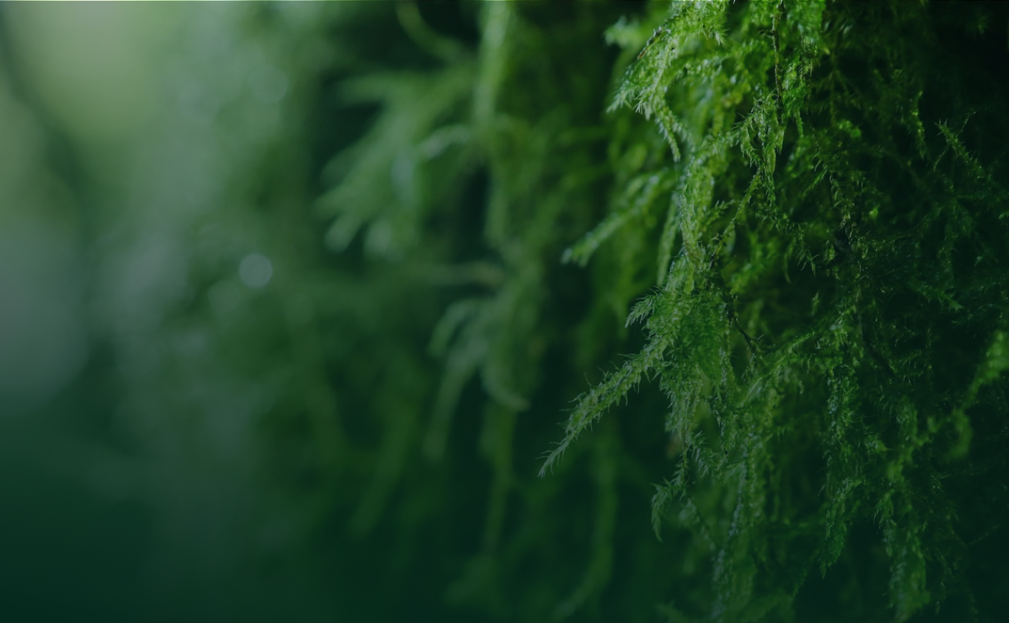 Background Home Image